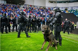 UEFA phạt Linfield và Celtic do hành động bạo lực tại Champions League