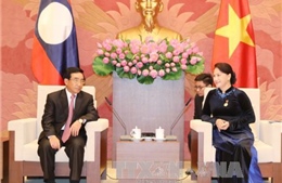 Chủ tịch Quốc hội tiếp Phó Chủ tịch nước Lào Phankham Viphavanh 