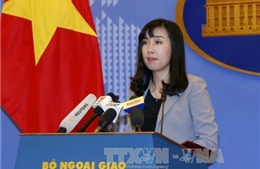  Việt Nam sẵn sàng biện pháp bảo hộ hai công dân mất tích tại Anh 