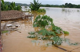 Phú Thọ: Tìm thấy thi thể 2 học sinh bị nước cuốn trôi khi đi tắm trên sông Đà