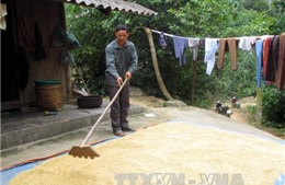 Kinh nghiệm phát triển đảng ở vùng cao