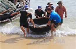 Ngư dân Thừa Thiên - Huế được mùa cá cơm 