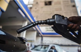 Giá dầu châu Á đi lên trước thềm cuộc họp của OPEC 