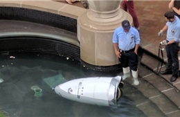 Robot cảnh sát ‘chết đuối’ dưới đài phun nước khi đang làm nhiệm vụ