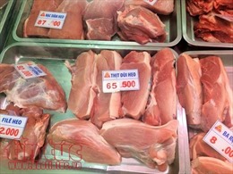 Sau khi bật tăng, giá lợn hơi lại giảm 10.000 đồng/kg 
