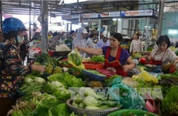 Bố trí phương tiện kiểm tra nhanh thực phẩm tại chợ