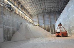 Đắk Nông: Xuất khẩu alumin thu về 50 triệu USD