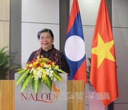 Giao lưu giữa hai Văn phòng Quốc hội Việt Nam và Lào