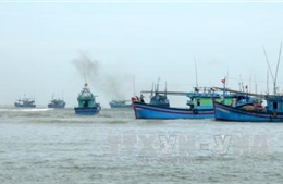 Phản đối mạnh mẽ hành vi sử dụng vũ lực đối với ngư dân Việt Nam