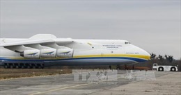 Rơi máy bay vận tải của Ukraine, ít nhất 1 người thiệt mạng