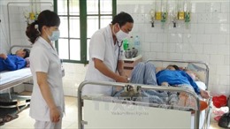 Nam Định tập trung phòng chống dịch sốt xuất huyết 