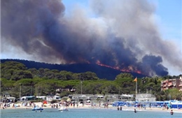 Cháy rừng bùng phát mạnh tại Tây Ban Nha