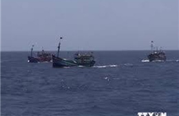 Bình Định khẩn trương tìm kiếm 5 ngư dân mất tích trên biển