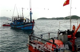 Cứu tàu cá cùng 17 thuyền viên bị nạn do ảnh hưởng của áp thấp nhiệt đới
