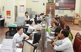 Agribank chung tay xây dựng Tây Bắc phát triển bền vững