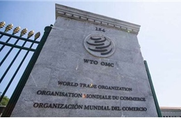 Qatar khiếu nại lên WTO các hoạt động tẩy chay thương mại 