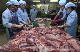 Tỷ lệ thịt lợn truy xuất được nguồn gốc tại TPHCM tăng mạnh