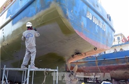 Bình Định tiếp tục lấy mẫu vỏ thép tàu cá để kiểm định
