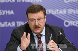 Nga chỉ trích nghị quyết của Nghị viện châu Âu về biển Azov