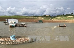 Hỗ trợ các hộ nuôi cá lồng sau vụ cá chết bất thường ở hồ thủy điện Pleikrông