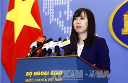 Việt Nam lấy làm tiếc về phát biểu của Người Phát ngôn Bộ Ngoại giao Đức 
