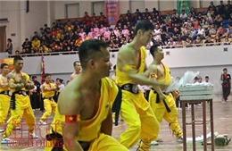 Khai mạc Hội diễn võ thuật cổ truyền Hà Nội mở rộng lần thứ 33