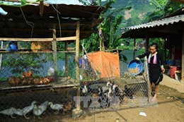 Điện Biên hỗ trợ các xã khó khăn phát triển kinh tế - xã hội 