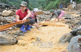 Đảm bảo công tác khám chữa bệnh cho người dân trong mưa, lũ 