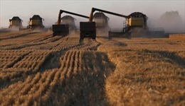 Lệnh cấm vận ba năm tác động thế nào lên nền nông nghiệp Nga?
