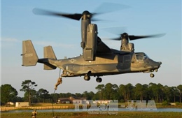 Nhật Bản đề nghị Mỹ hạn chế các chuyến bay của máy bay Osprey