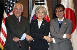 Nhật Bản, Indonesia nhất trí hợp tác trong giải quyết vấn đề Triều Tiên