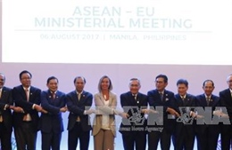 Cố vấn chính sách của Nghị viện châu Âu đánh giá cao vai trò của ASEAN 