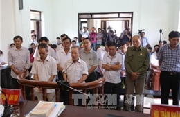 Tuyên án 14 bị cáo trong vụ vi phạm trong quản lý đất đai ở Đồng Tâm