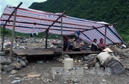 Tập trung phòng chống dịch bệnh tại vùng lũ Mường La, Sơn La 