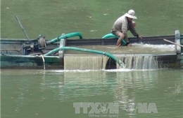 Xử lý dứt điểm hoạt động khai thác cát trái phép trên sông Cái, Khánh Hòa 