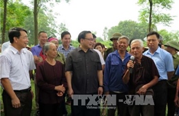 Hà Nội tạo mọi điều kiện phát triển chăn nuôi theo hướng hàng hóa