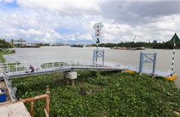 Cuối tháng 8/2017, TP Hồ Chí Minh đưa tuyến buýt đường sông vào hoạt động 