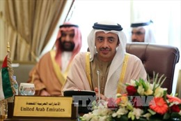Ngoại trưởng UAE thảo luận về tình hình ở Yemen với phái viên LHQ