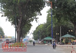 Đốn hạ 123 cây xanh giải quyết ùn tắc giao thông khu vực sân bay Tân Sơn Nhất
