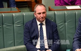Phó Thủ tướng Australia có nguy cơ mất chức do mang 2 quốc tịch 