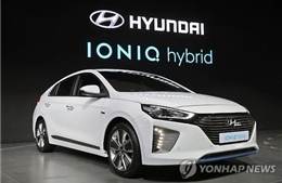 Xe &#39;xanh&#39; của Hyundai và Kia hút khách