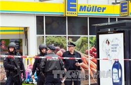 Quan chức Đức hối thúc mạnh tay với nạn hooligan 