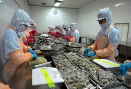 Hoa Kỳ hủy bỏ một phần việc áp thuế chống bán phá giá tôm nhập khẩu từ Việt Nam 