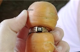 Tìm thấy nhẫn kim cương mất tích 13 năm trên củ cà rốt