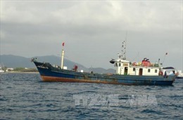 Cà Mau tạo điều kiện cho ngư dân đánh bắt xa bờ 