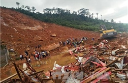 Trên 1.000 người chết và mất tích do lũ lụt và lở đất ở Sierra Leone