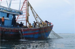 Quảng Ninh xử lý nghiêm nhiều phương tiện khai thác hải sản bằng ngư cụ bị cấm 