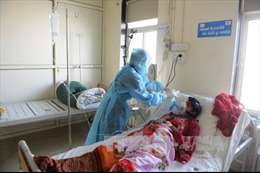  Thêm 12 người dân Ấn Độ thiệt mạng vì nhiễm virus cúm H1N1