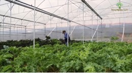Agribank -Tài chính cho phát triển nông nghiệp, nông thôn