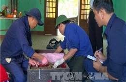 Phát hiện hố chôn hài cốt liệt sỹ tập thể tại Bệnh viện đa khoa khu vực Triệu Hải, Quảng Trị 